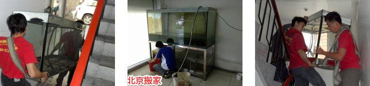 搬家公司 搬家公司